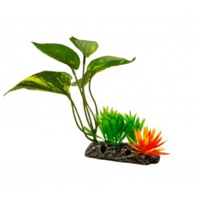 ΔΙΑΚΟΣΜΗΤΙΚΟ ΦΥΤΟ ΕΝΥΔΡΕΙΟΥ 11.5Χ19CM